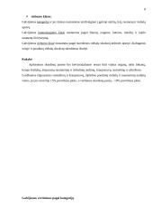 Galvijų mėsa 8 puslapis