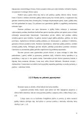 Gateriai ir mediena 6 puslapis