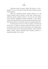 Gediminaičių kilmės istorija 2 puslapis