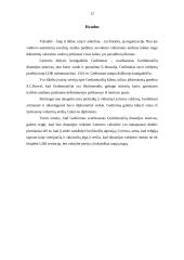 Gediminaičių kilmės istorija 11 puslapis