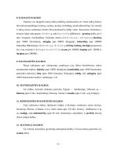 Genealoginė pasaulio kalbų klasifikacija 13 puslapis
