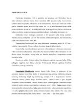 Genealoginė pasaulio kalbų klasifikacija 5 puslapis