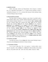 Genealoginė pasaulio kalbų klasifikacija 10 puslapis