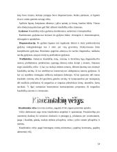 Ginekologinės vėžinės ligos 13 puslapis