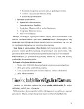 Ginekologinės vėžinės ligos 8 puslapis