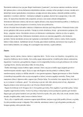 Gyvybės ir mirties dievybės 7 puslapis