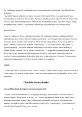 Gyvybės ir mirties dievybės 8 puslapis