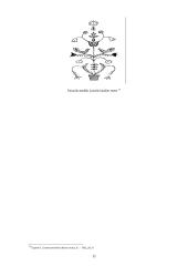 Gyvybės medis 11 puslapis