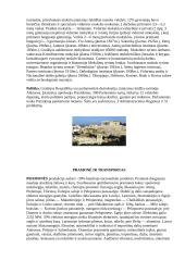 Graikijos aprašymas 2 puslapis