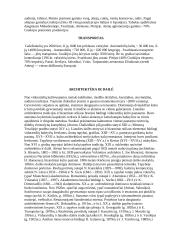 Graikijos aprašymas 3 puslapis