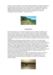 Graikijos aprašymas 4 puslapis