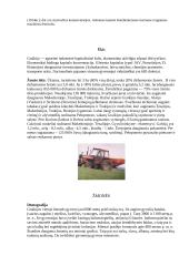 Graikijos aprašymas 8 puslapis