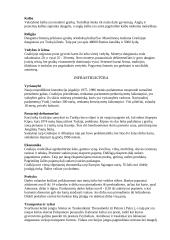 Graikijos aprašymas 9 puslapis