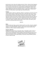 Graikijos aprašymas 10 puslapis