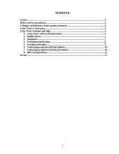 Grupinio darbo sistema "Lotus Notes" 2 puslapis