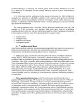 Grupinio darbo sistema "Lotus Notes" 8 puslapis