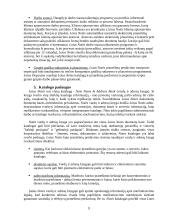 Grupinio darbo sistema "Lotus Notes" 9 puslapis