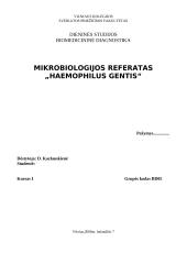 Gentis Haemophilus