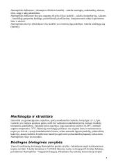 Gentis Haemophilus 4 puslapis