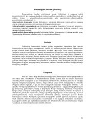 Hemoraginis insultas 10 puslapis