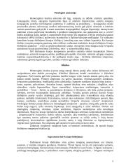 Hemoraginis insultas 4 puslapis