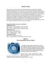 Herpes virusai 3 puslapis