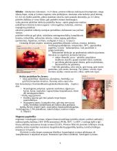 Herpes virusai 4 puslapis
