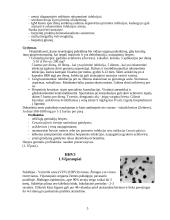 Herpes virusai 5 puslapis