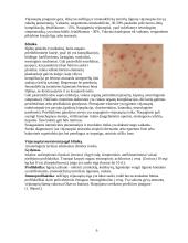 Herpes virusai 6 puslapis