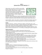 Herpes virusai 10 puslapis