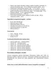 Hidroenergetika Lietuvoje 11 puslapis