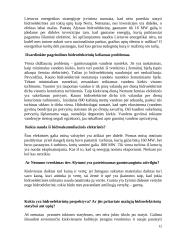 Hidroenergetika Lietuvoje 12 puslapis