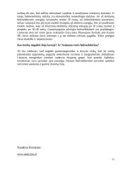 Hidroenergetika Lietuvoje 13 puslapis