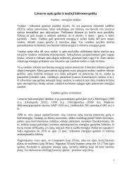 Hidroenergetika Lietuvoje 3 puslapis