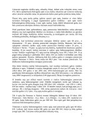 Hidroenergetika Lietuvoje 4 puslapis