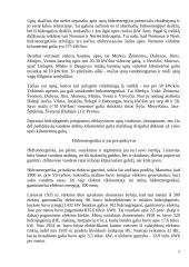 Hidroenergetika Lietuvoje 5 puslapis