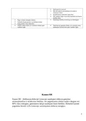 Hidroenergetika Lietuvoje 9 puslapis