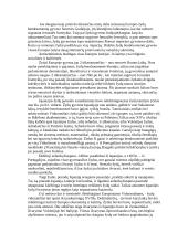 Holokaustas - tragedija 2 puslapis