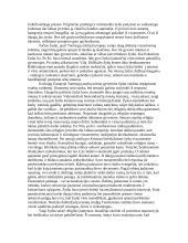 Holokaustas - tragedija 4 puslapis