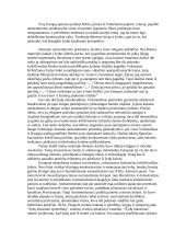 Holokaustas - tragedija 7 puslapis