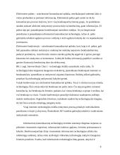 Internetas — žmogaus ugdymo veiksnys 8 puslapis