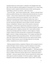 Internetas — žmogaus ugdymo veiksnys 9 puslapis