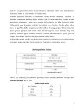 Islandijos geografinės ypatybės 4 puslapis