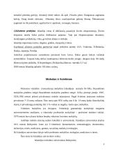 Islandijos geografinės ypatybės 7 puslapis