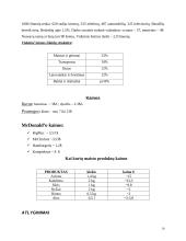Islandijos geografinės ypatybės 9 puslapis