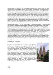 Ispanijos turizmas 3 puslapis