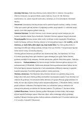 Išnirimai 3 puslapis