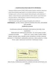 Išnirimai 4 puslapis