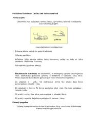 Išnirimai 8 puslapis