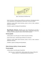 Išnirimai 9 puslapis